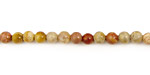 Fossil Coral Round 4mm