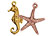 Sea Life Charms