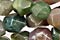 Fancy Jasper Beads