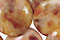Monaco Agate Beads