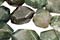 Moss Agate Beads