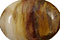 Madagascar Petrified Wood Beads
