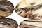 Australian Zebra Jasper Beads