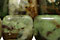 Petrified Green Opal Beads