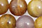 Brazil Petrified Wood Beads