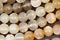 Moonstone (multi) Beads