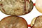 American Jasper Beads