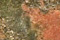 Unakite Gemstone
