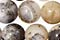 Moss Opalite Beads