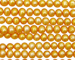 Mango Potato 4.5-5mm