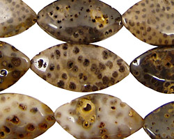Palm Jasper Horse Eye 20-25x12-14mm