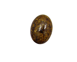 Bronzite Oval Cabochon 30x40mm