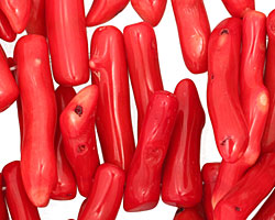 Coral Horn 9-11x33-60mm