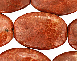 Fossil Coral (red) Flat Ended Oval 30x22mm