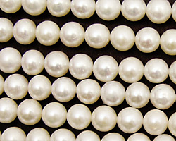 Pearly White Potato 7-8mm