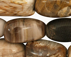 Black Petrified Wood Tumbled Nugget 25-27x15-17mm