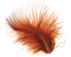 Chestnut Marabou Feather 100-152mm
