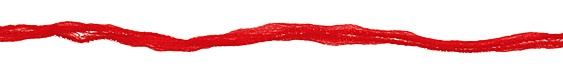 Red Rose Fairy Silk Ribbon 1/2"
