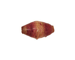 African Paper (camel, merlot) Rice 20x10-11mm