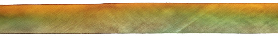 Golden Lichen Hand Dyed 100% Silk Ribbon 1"