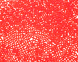 TOHO Transparent Light Siam Ruby Round 11/0 Seed Bead