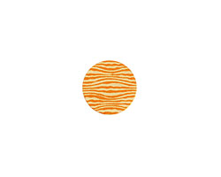 Lillypilly Orange Zebra Anodized Aluminum Disc 11mm, 24 gauge