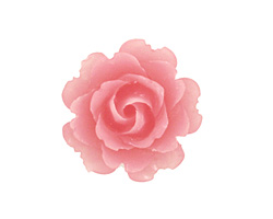 Transparent Matte Pink Lucite Rose Cabochon 23mm