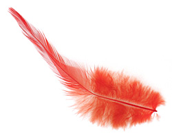 Tangerine Neck Hackle Feather 100-152mm