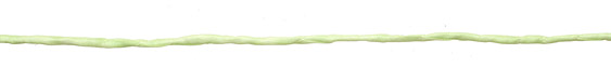 Celery Silk String 2mm