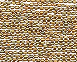 Iris Green Rice 2mm