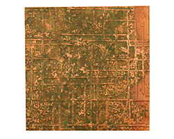 Lillypilly Verde Bamboo Embossed Patina Copper Sheet 3"x3", 36 gauge