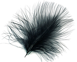 Ebony Marabou Feather 100-152mm