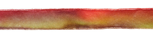 Monet Hand Dyed Velvet Ribbon 1"