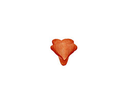 Lucite Burnt Sienna Mini Trumpet Flower 8x10mm