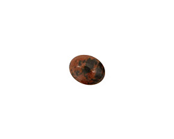 Mahogany Obsidian Oval Cabochon 8x10mm