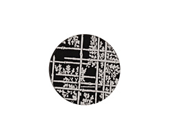 Lillypilly Black Bamboo Anodized Aluminum Disc 19mm, 22 gauge