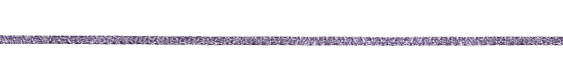 WireLace Tanzanite Ribbon 2.5mm