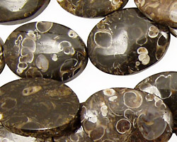 Turritella Agate Flat Oval 20-25x15-19mm