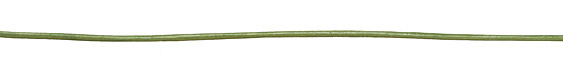 Juniper (metallic) Round Leather Cord 2mm