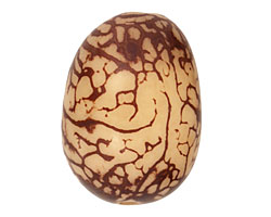 Tagua Nut Cream Nugget 40-45x32-36mm