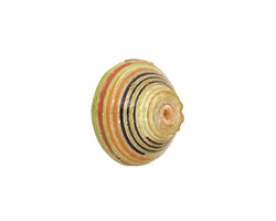 African Paper (lime, black, red) Bicone 14-15x16-17mm