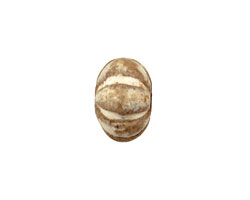 Gaea Ceramic Pearl on Tan Lantern 9x15-16mm