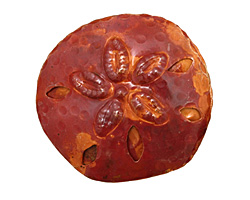 Patricia Healey Copper Sand Dollar Pendant 50-54mm