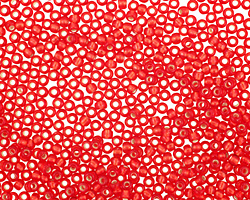 TOHO Ruby (with Frosted Silver Lining) Round 11/0 Seed Bead