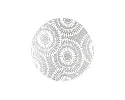 Lillypilly Silver Dandelion Anodized Aluminum Disc 25mm, 22 gauge