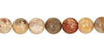 Fossil Coral Round 8mm