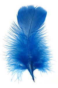 Royal Blue Turkey Flat Feather 100-152mm