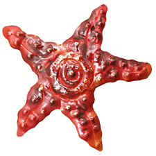 Patricia Healey Copper Starfish w/ Spiral Pendant 76-78mm