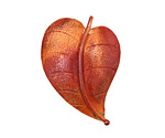 Patricia Healey Copper Sweeping Leaf Pendant 24x34mm