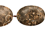 Turritella Agate Flat Oval 25-43x19-28mm